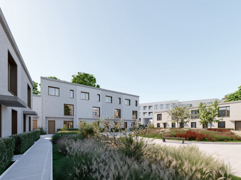 Hill Yard 2
